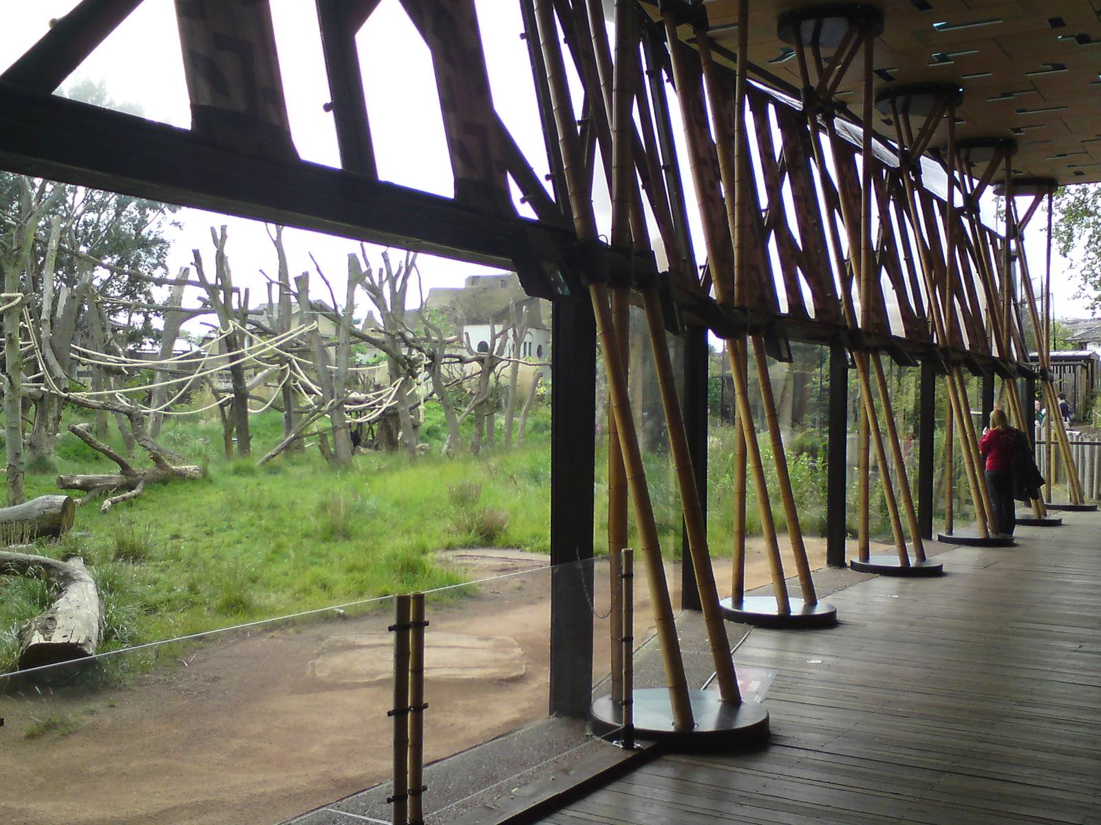 Viewing area for Gorilla Kingdom