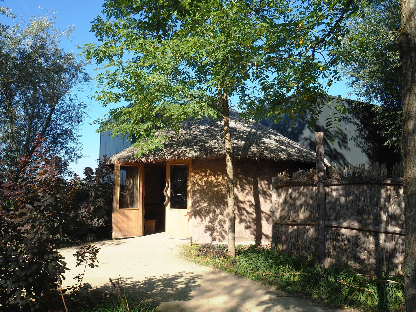 Viewing area for indoor reticulated giraffe and De Brazza's guenon exhibits, 2022-10-09