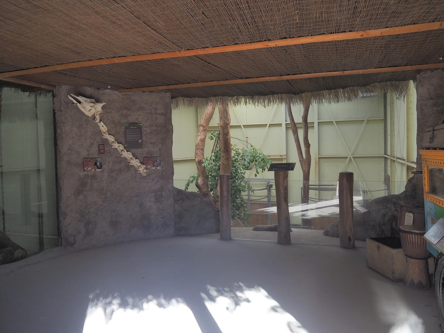 Viewing area for indoor reticulated giraffe and De Brazza's guenon exhibits, 2022-10-09