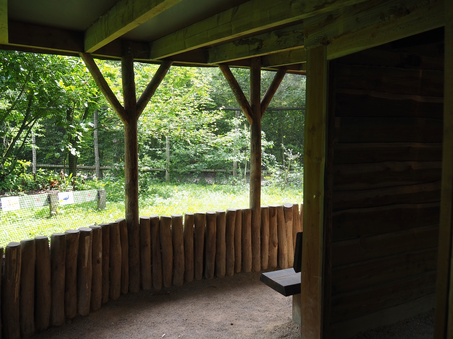 Viewing area for mixed African aviary, 2022-06-12