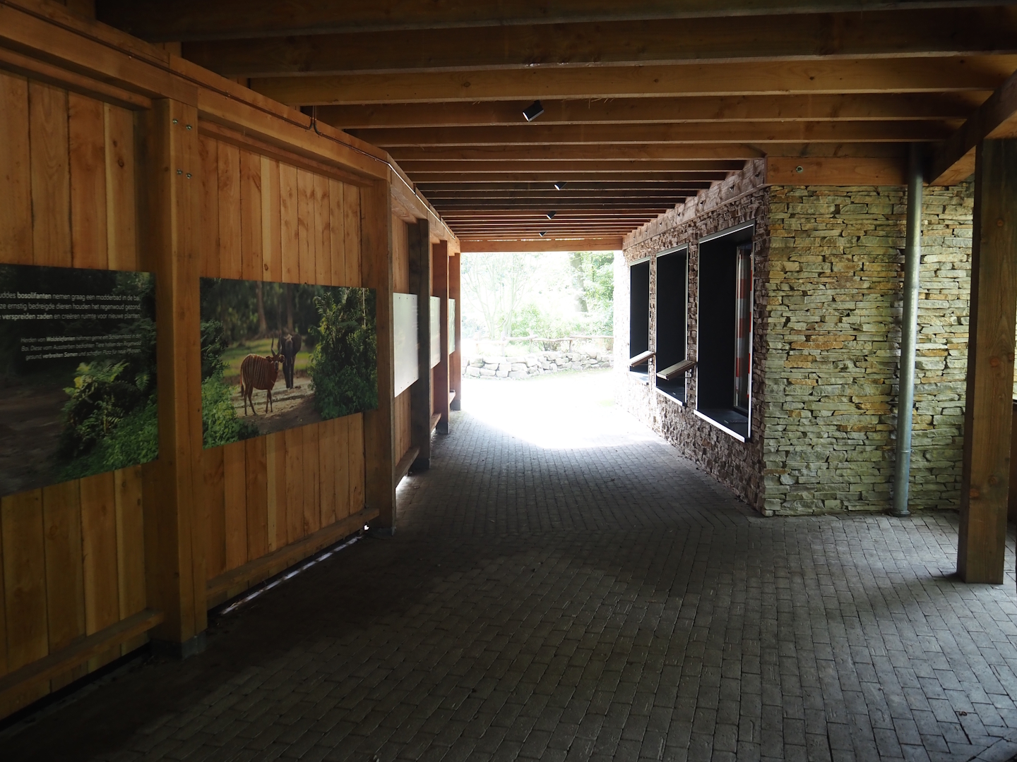 Viewing area for Mountain bongo and Kirk's dik-dik indoor exhibit, 2025-09-30