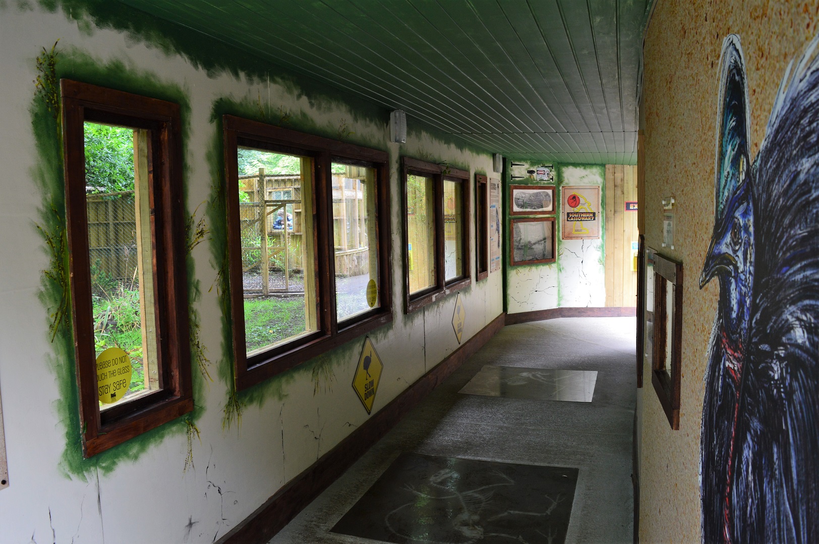 Viewing area for new cassowary enclosure