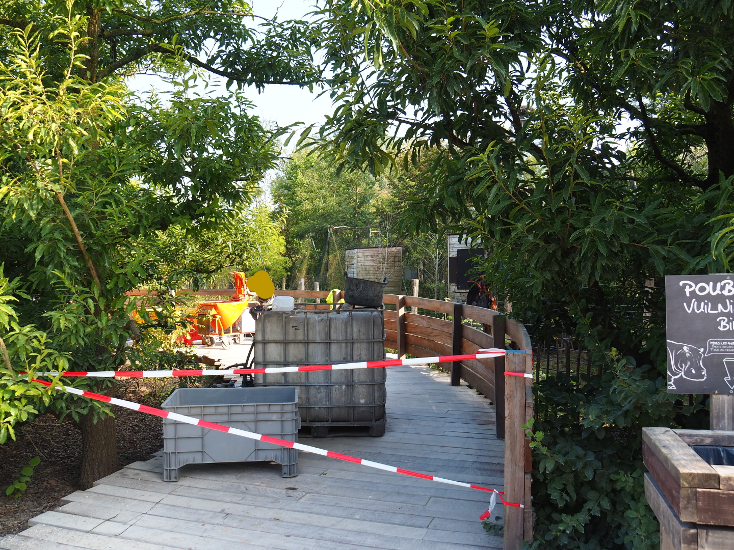 Viewing area for new exhibit between The Last Frontier and the raptor aviaries being finished, 2021-09-02