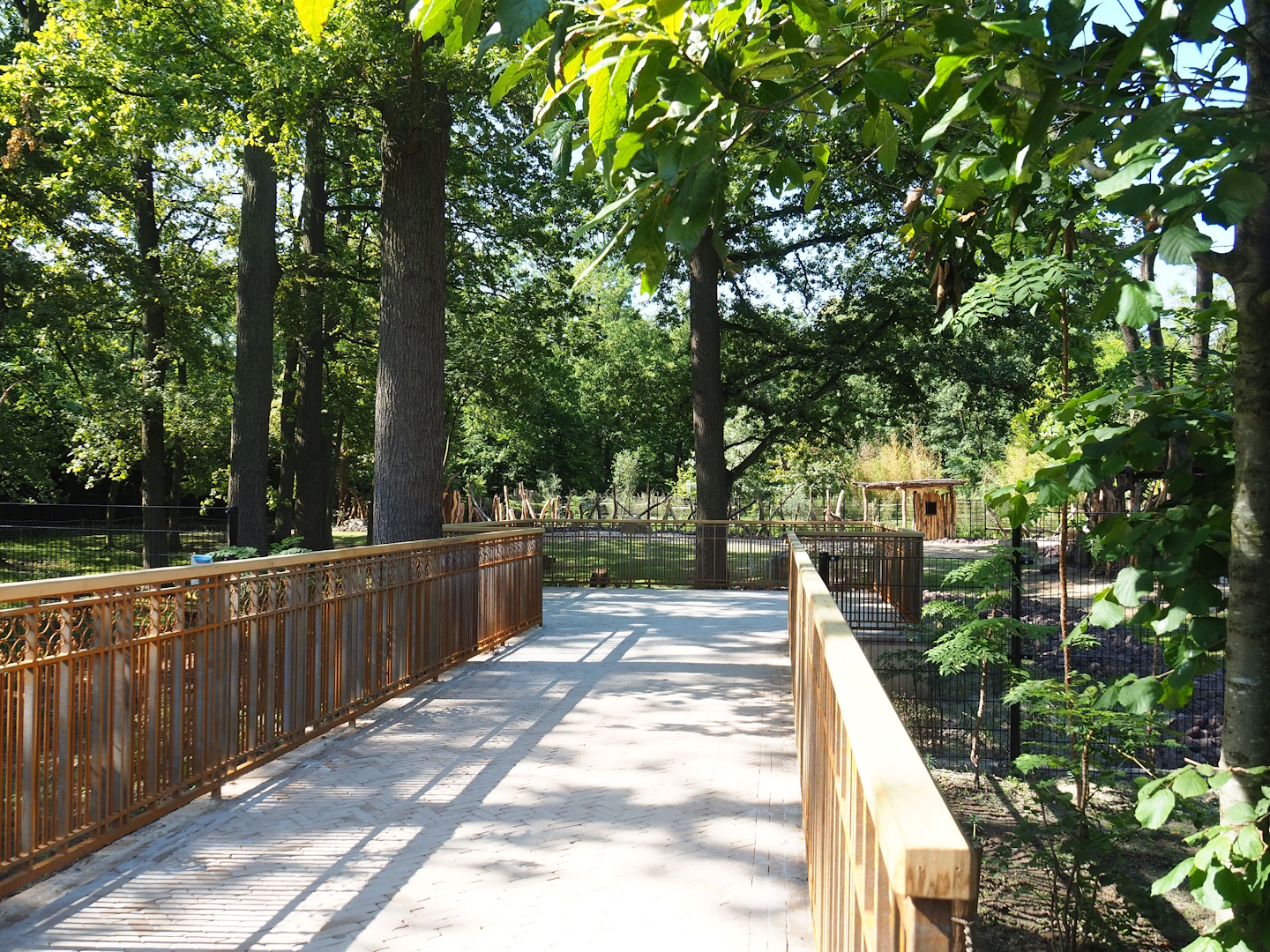 Viewing area for new Somali wild ass and Saharan Dorcas gazelle paddock, 2023-07-19