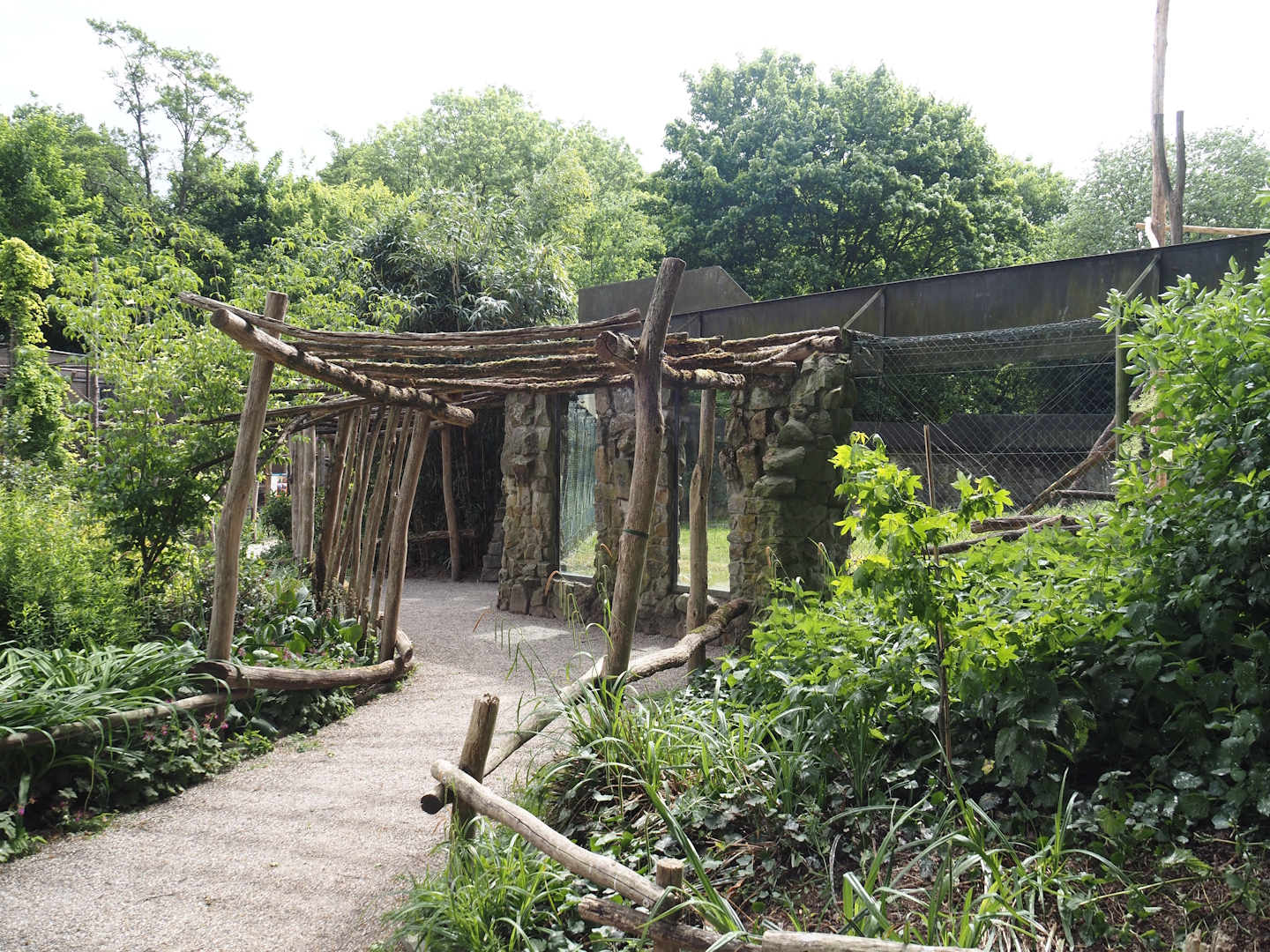 Viewing area for one of the Lion-tailed macaque exhibits, 2025-05-22