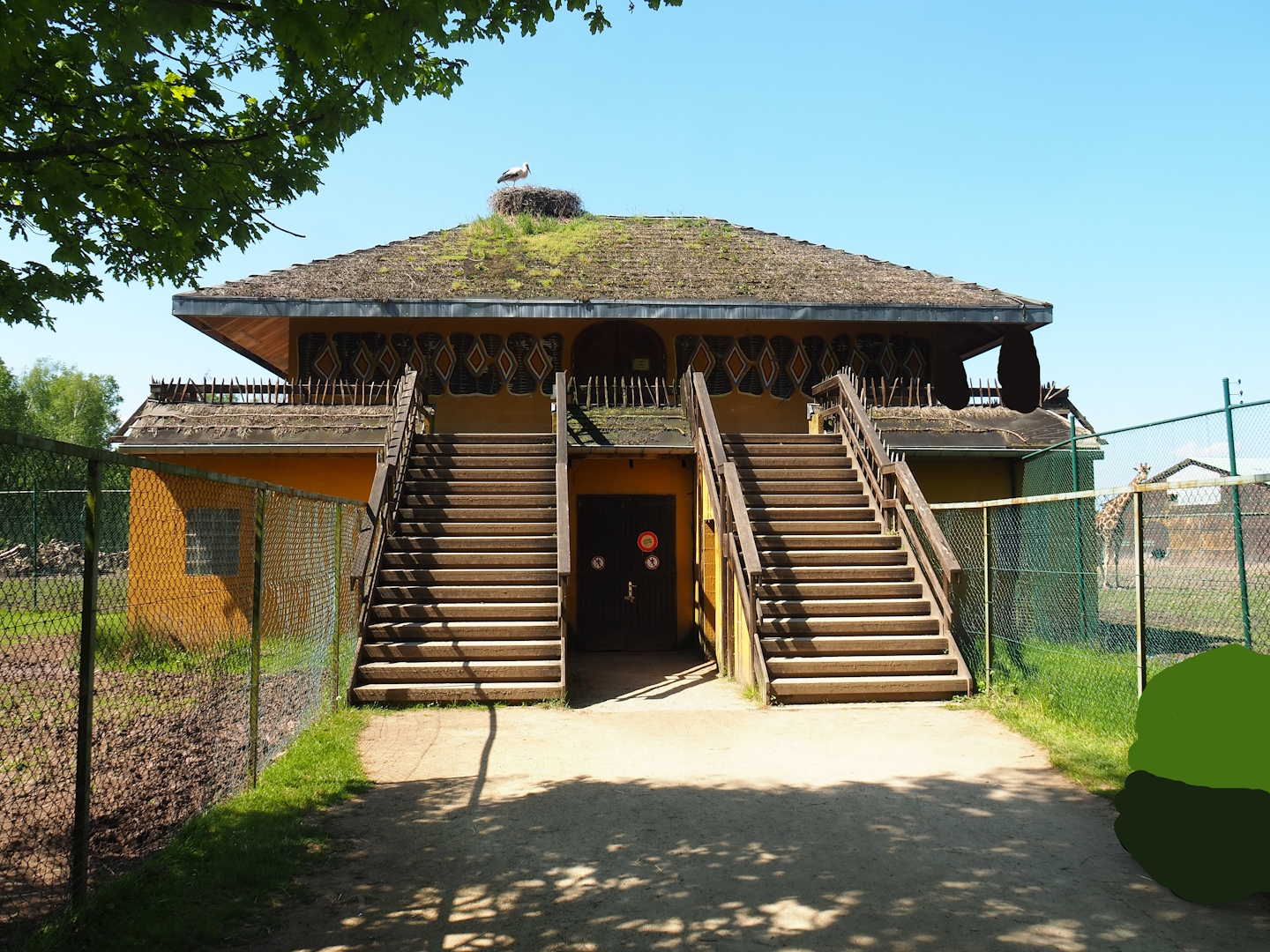 Viewing area for Ostrich and Giraffe/Sable antelope/Ostrich paddocks on top of ostrich barn, 2023-05-19