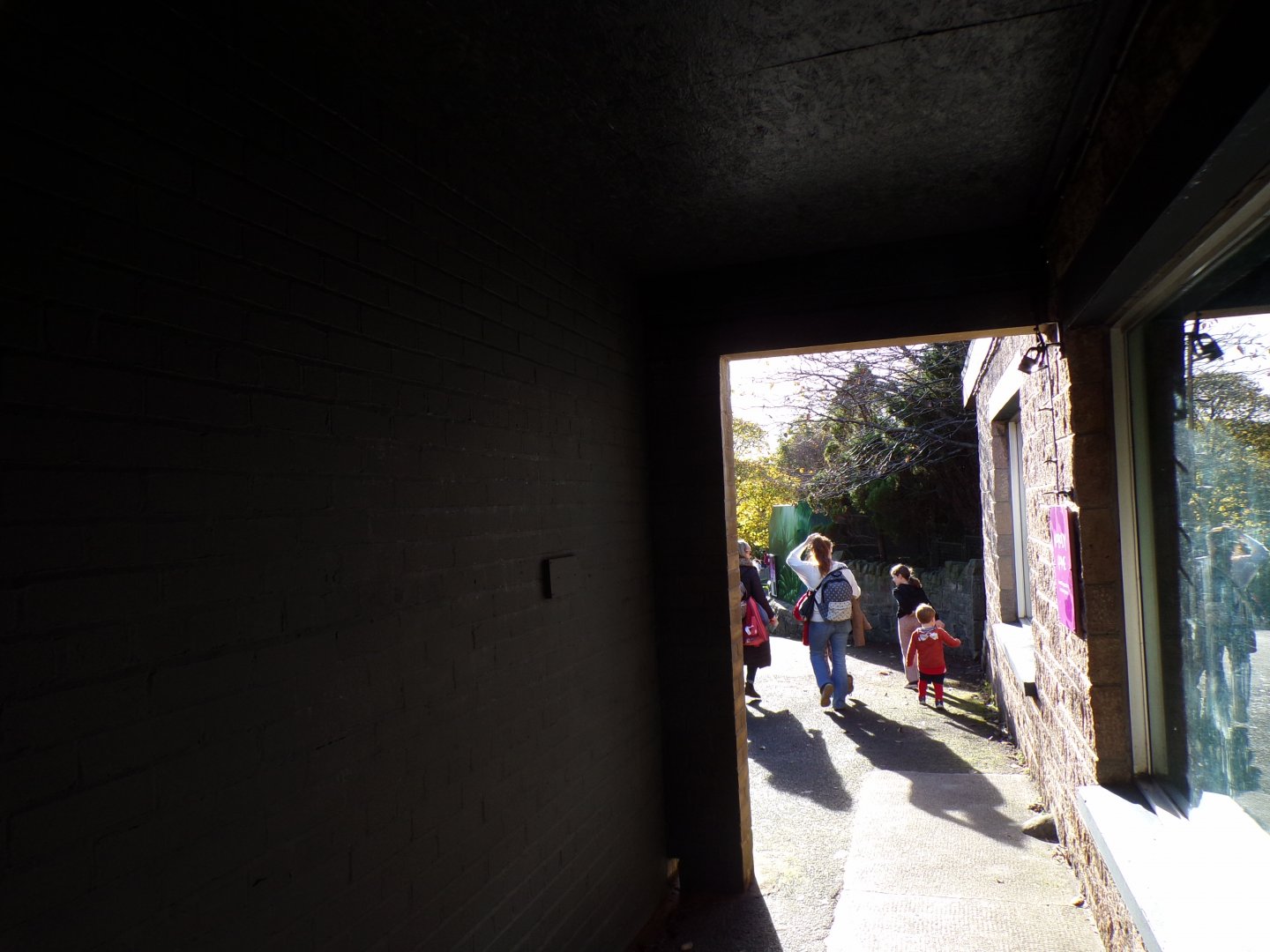 Viewing area for pallas cat enclosure 17.10.24
