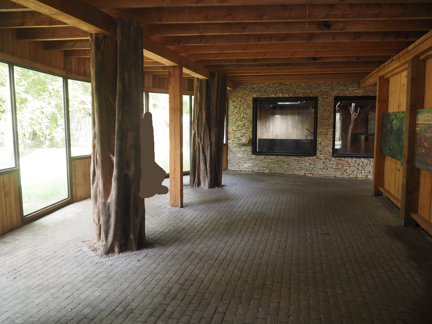 Viewing area for pygmy hippopotamus forested land area extension and indoor exhibit, 2025-09-30