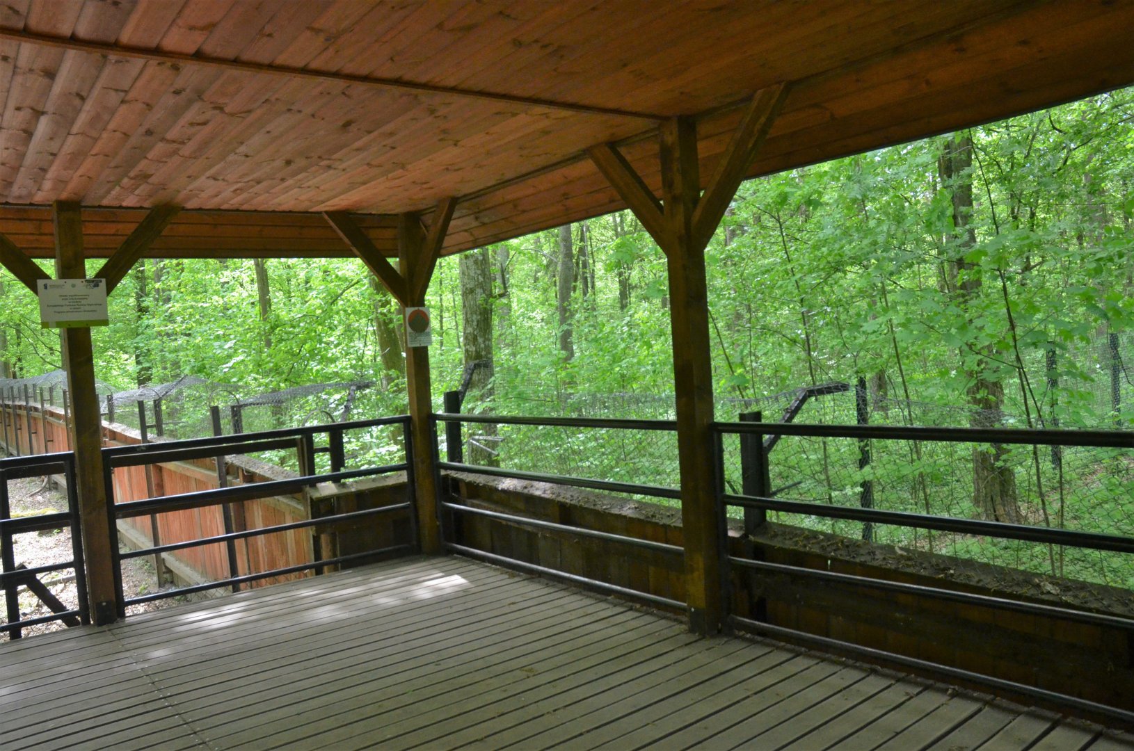 Viewing Area for Red Deer and Wolves at Rezerwat Pokazowy Żubrów, Białowieża 07/05/19