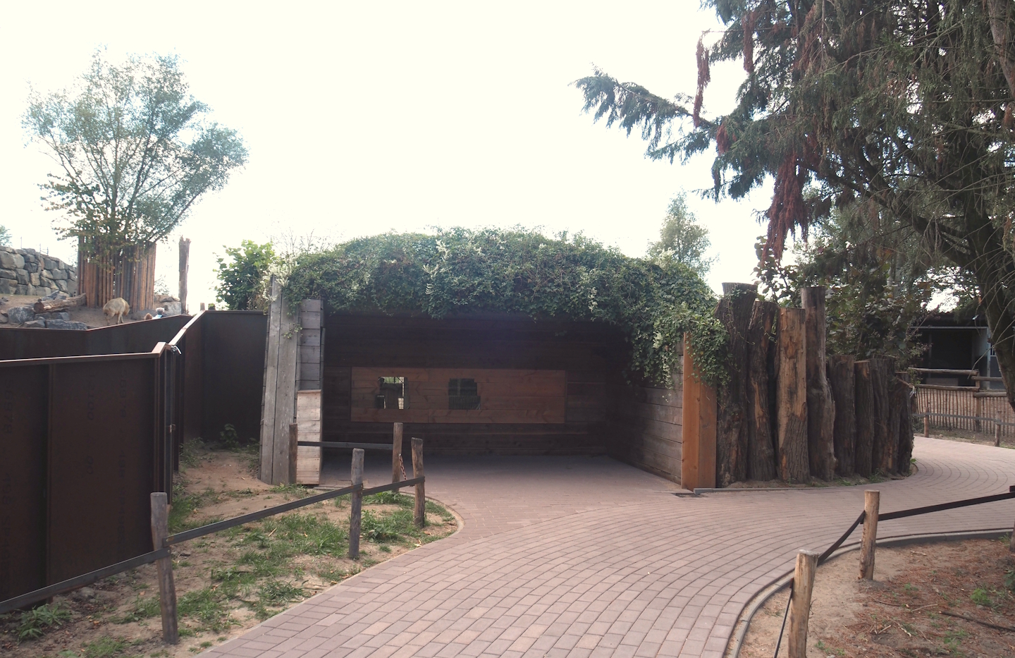 Viewing area for red panda den, 2025-08-24