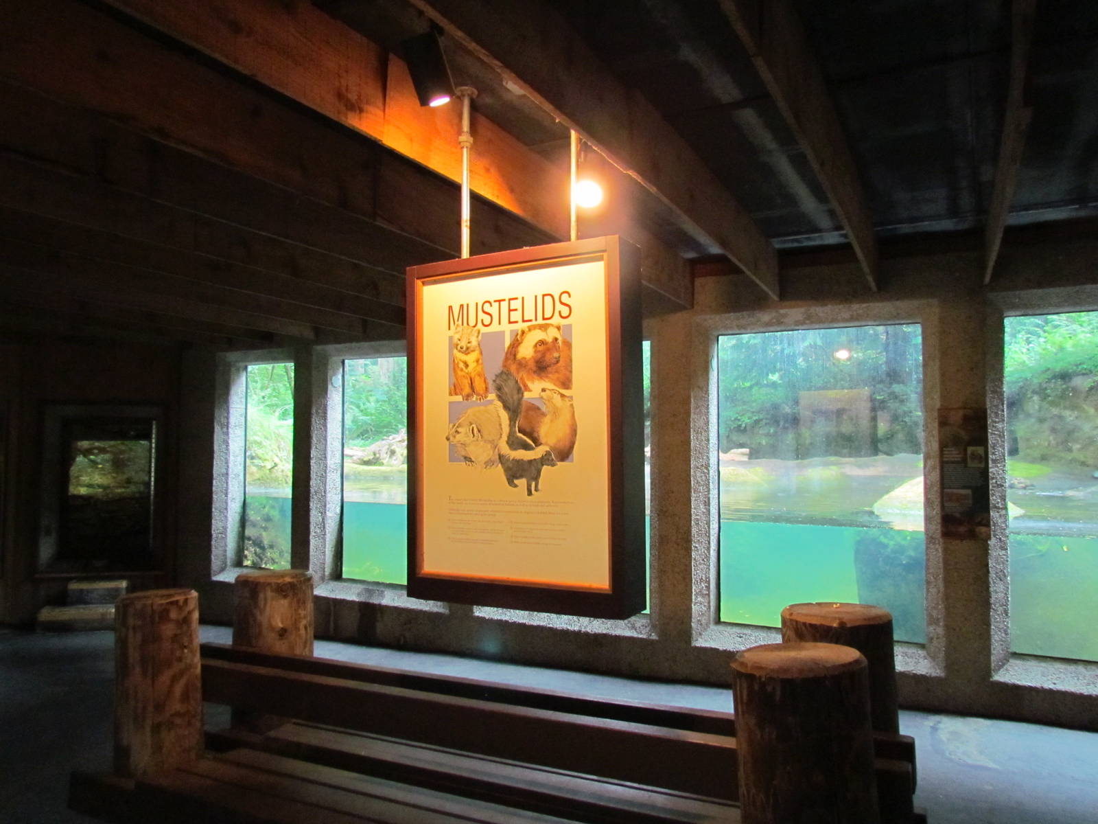 Viewing Area for River Otters