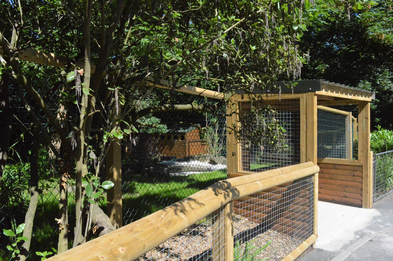 Viewing area for second half of new giant anteater enclosure