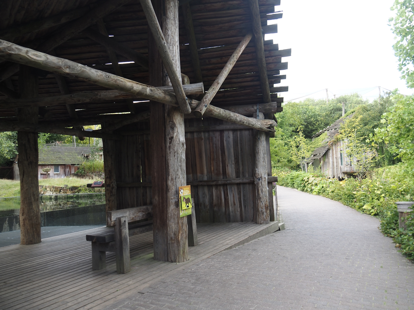 Viewing area for South American mixed exhibit with South American tapir, Vicunã and Lesser rhea (Original tapir exhibit), 2024-08-21