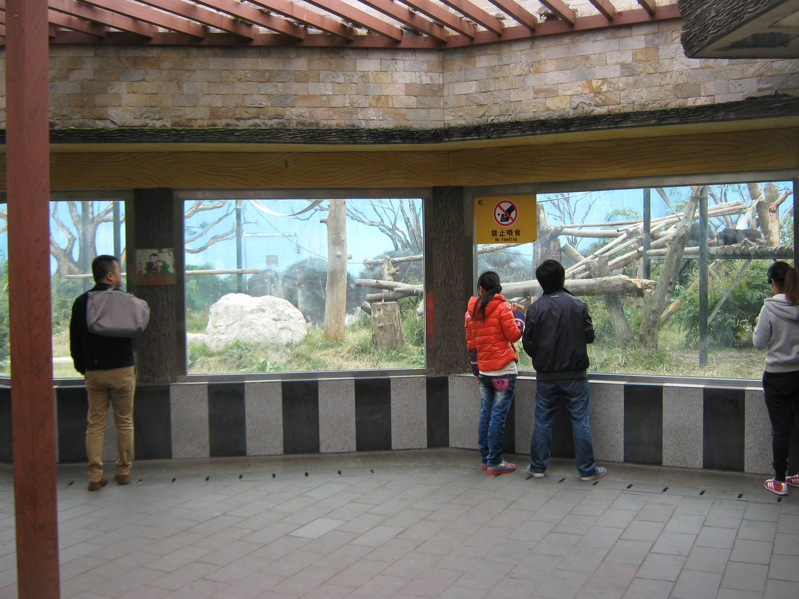 viewing area for the chimpanzee enclosure