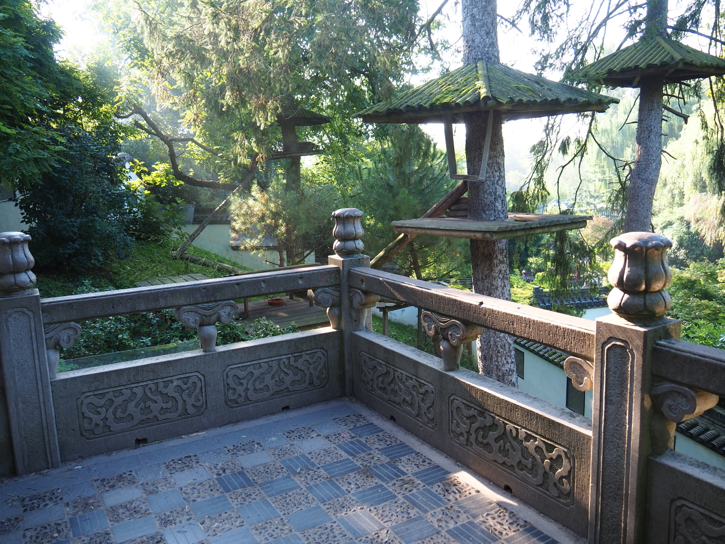 Viewing area for the hillside Nepalese red panda exhibit, 2021-09-03