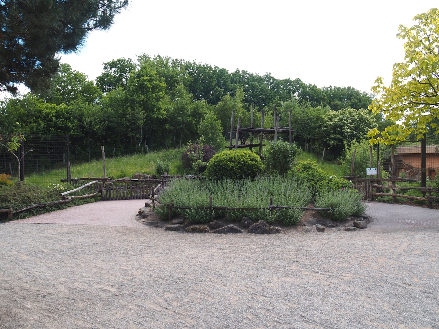 Viewing area for the Indian sloth bear and European golden jackal exhibit, 2025-05-22