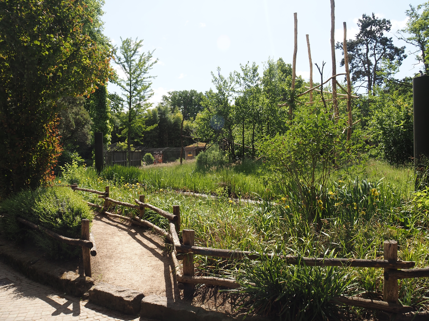 Viewing area for the Lemur Forest exhibit, 2025-05-22