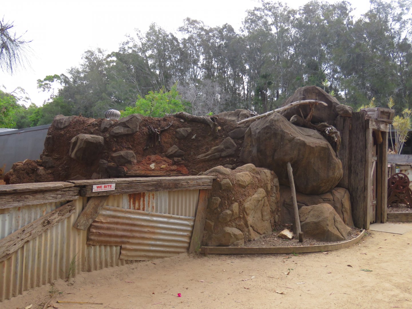 Viewing area for wombat dens