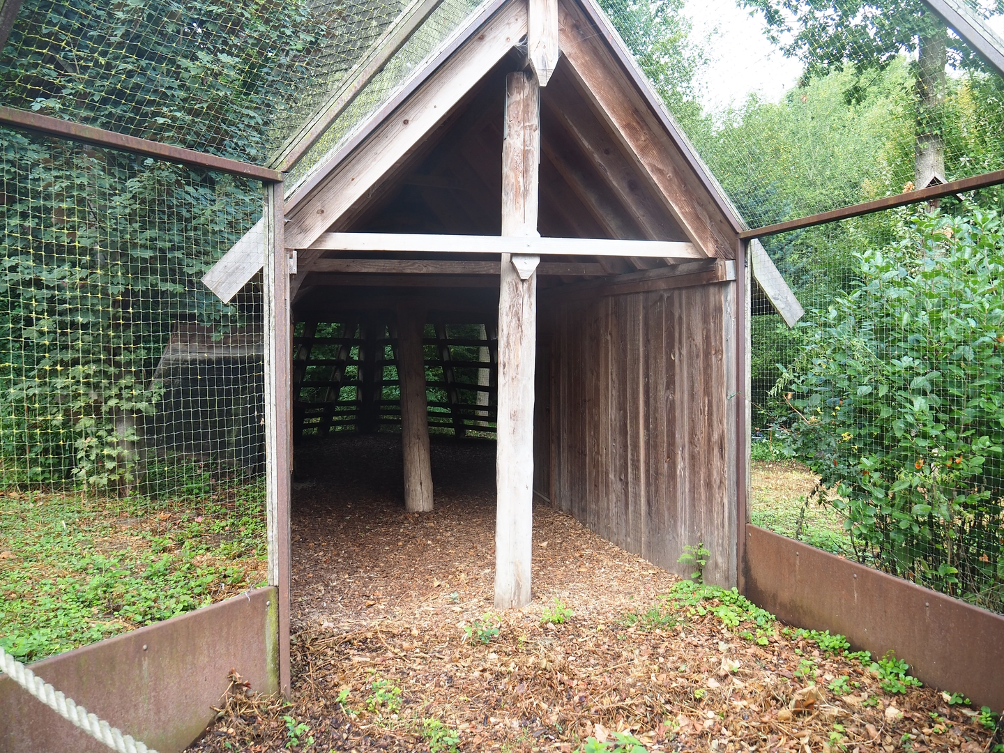 Viewing area former Eurasian eagle owl/Raven/Black stork aviary - Area to be added to the wolf exhibit, 2022-08-20