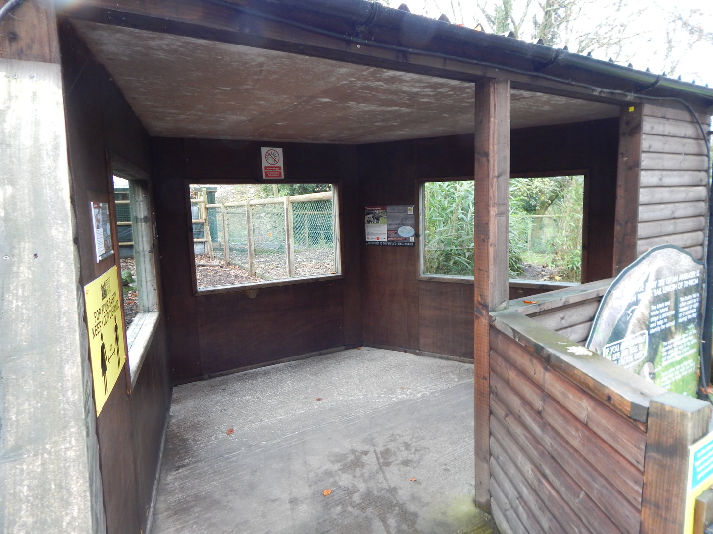 Viewing area - Giant anteaters and Mixed South American enclosure 241122