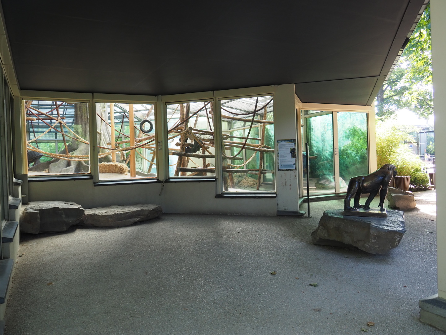 Viewing area Gorilla indoor housing, 2021-07-17