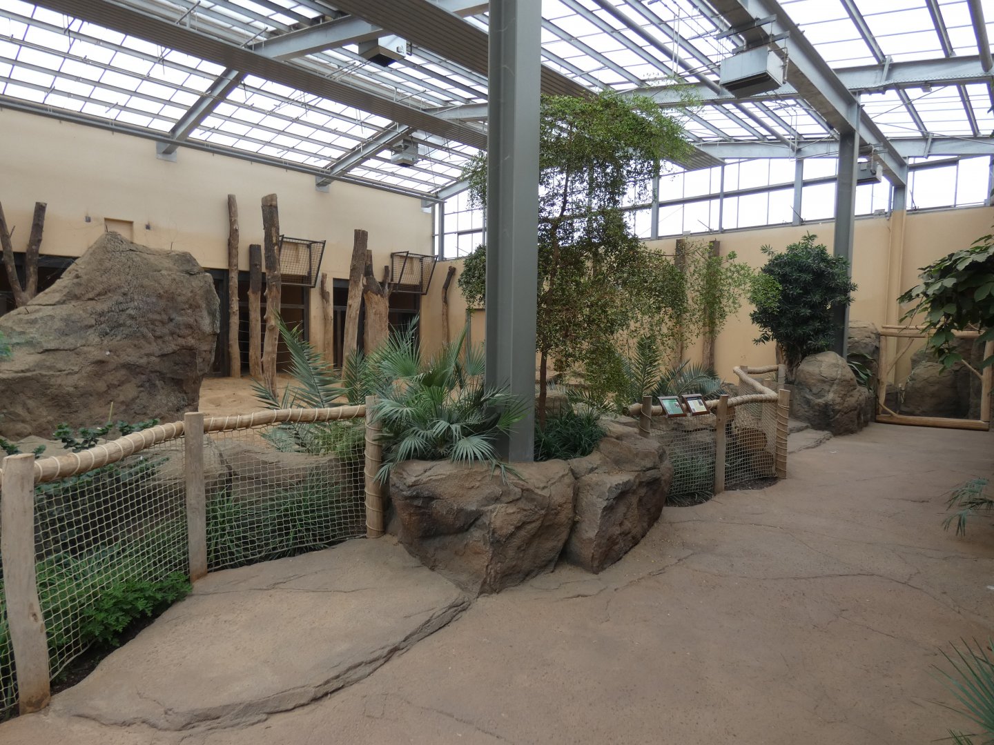 Viewing area in Elephant house