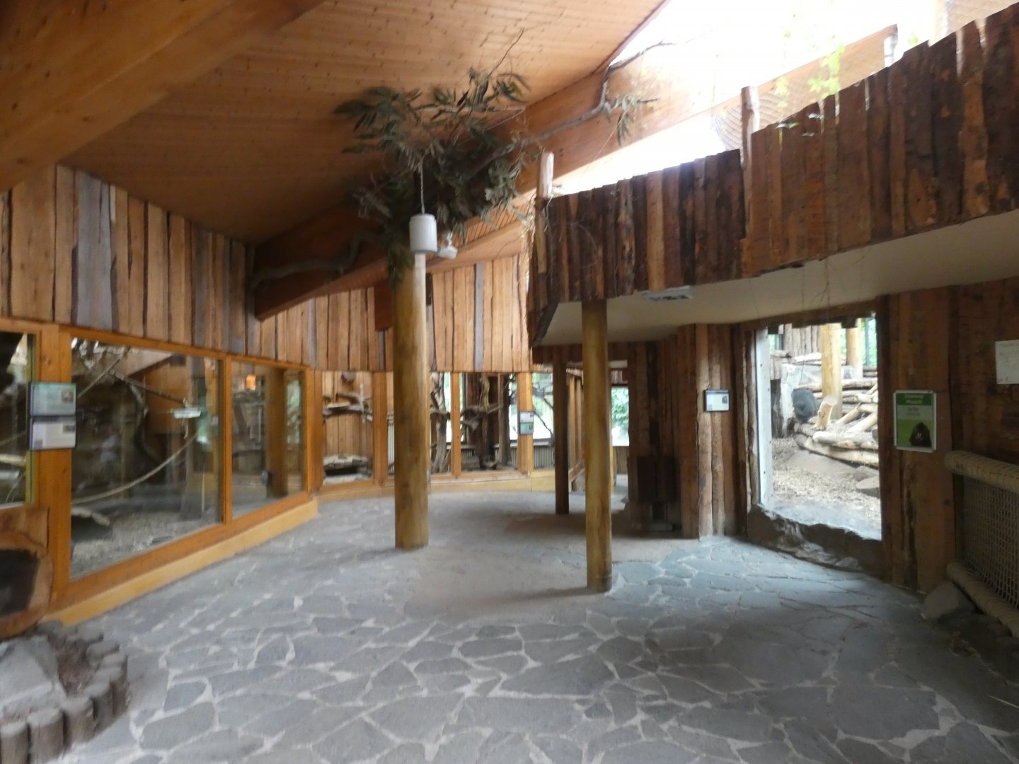 Viewing area in Mandrill house