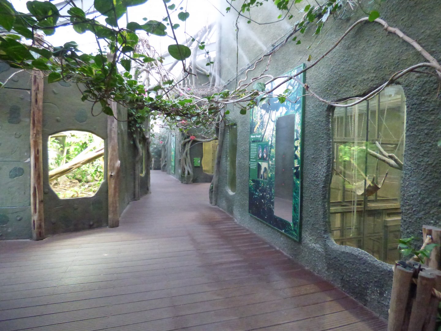 Viewing area in RORA (Bornean Orangutans and Lar Gibbon Indoor enclosures)