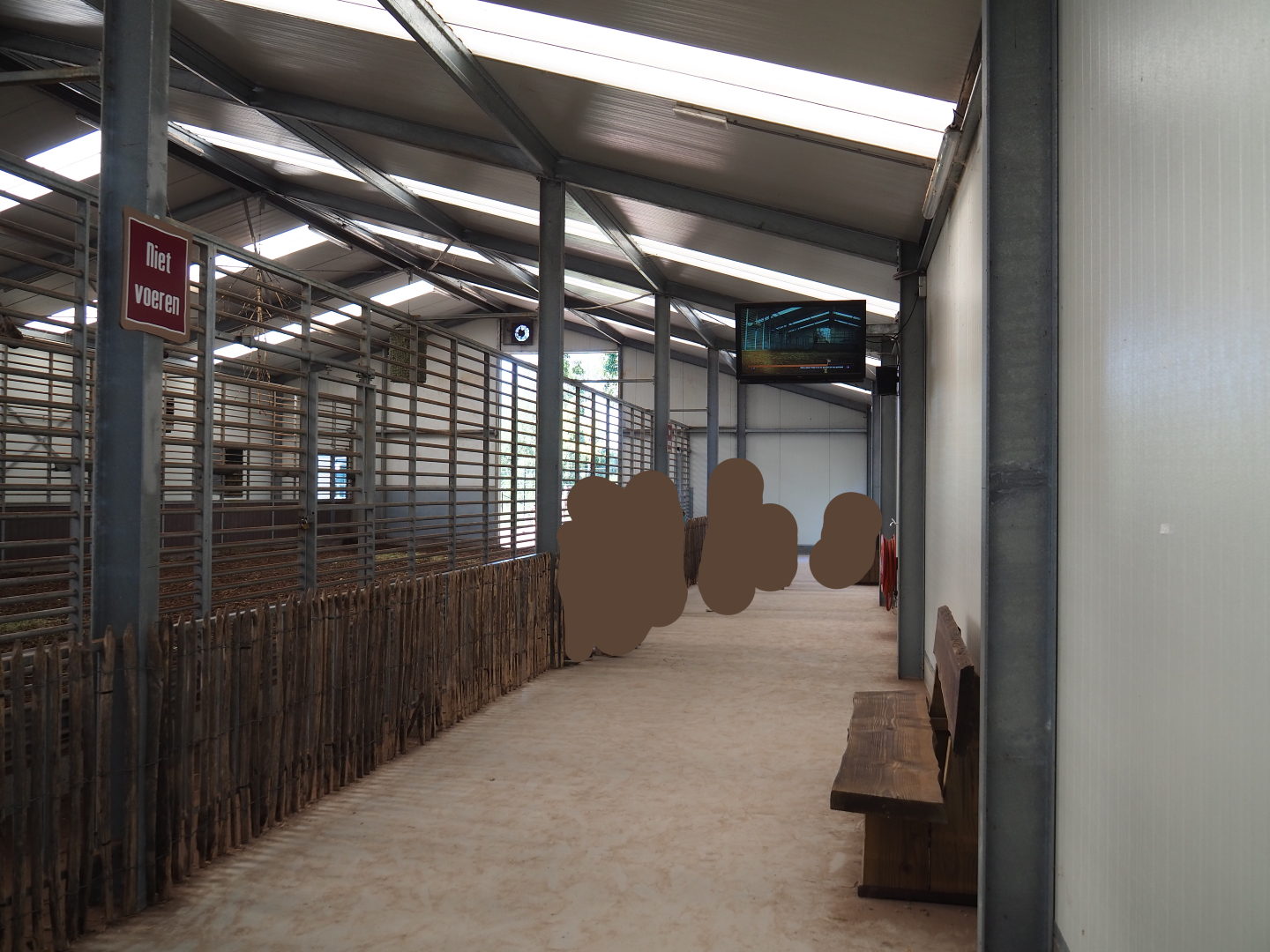 Viewing area in the Rothschild's giraffe stable, 2019-09-15
