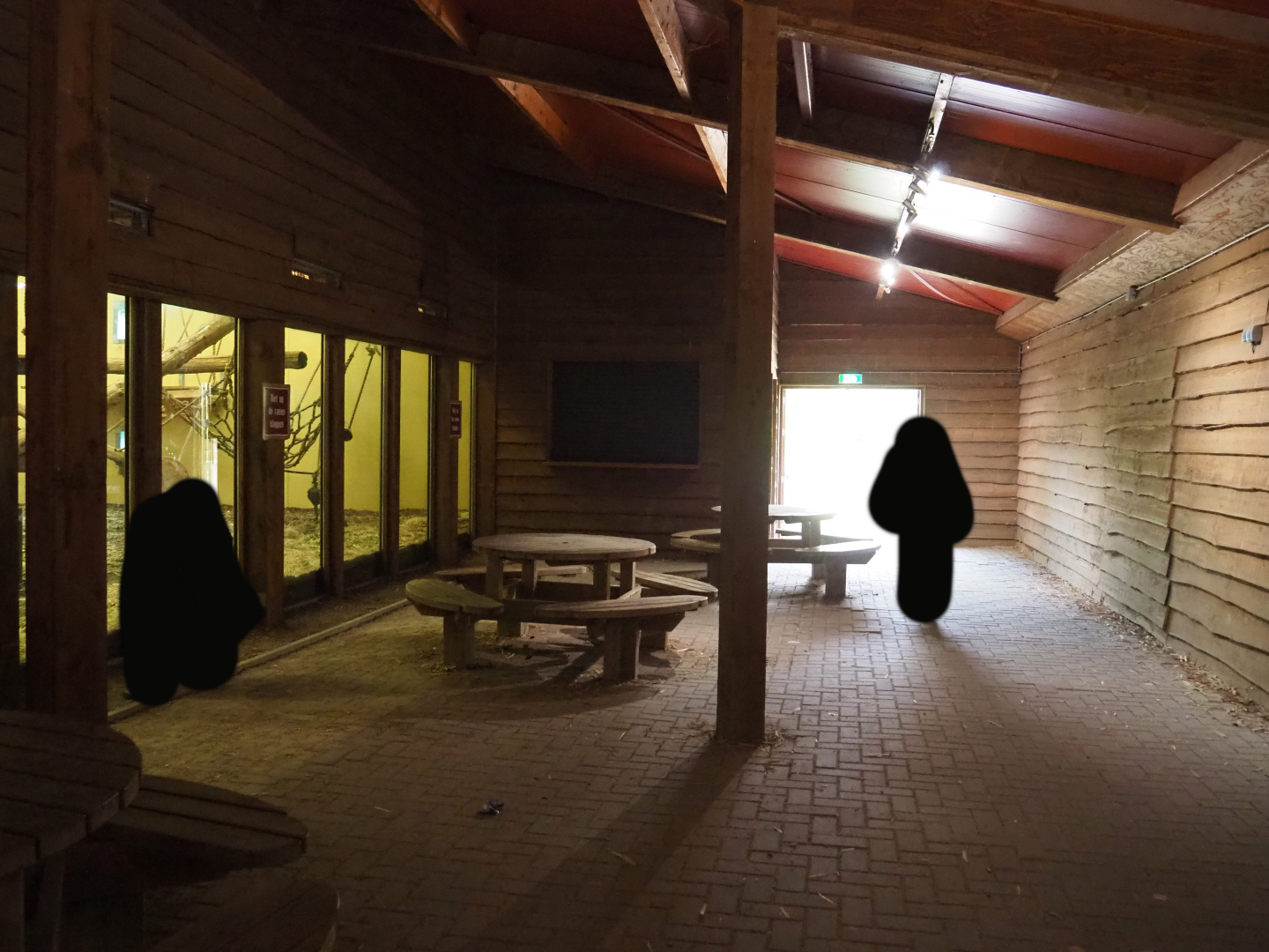 Viewing area indoor western chimpanzee, western lowland gorilla and black crested mangabey exhibits, 2019-09-15