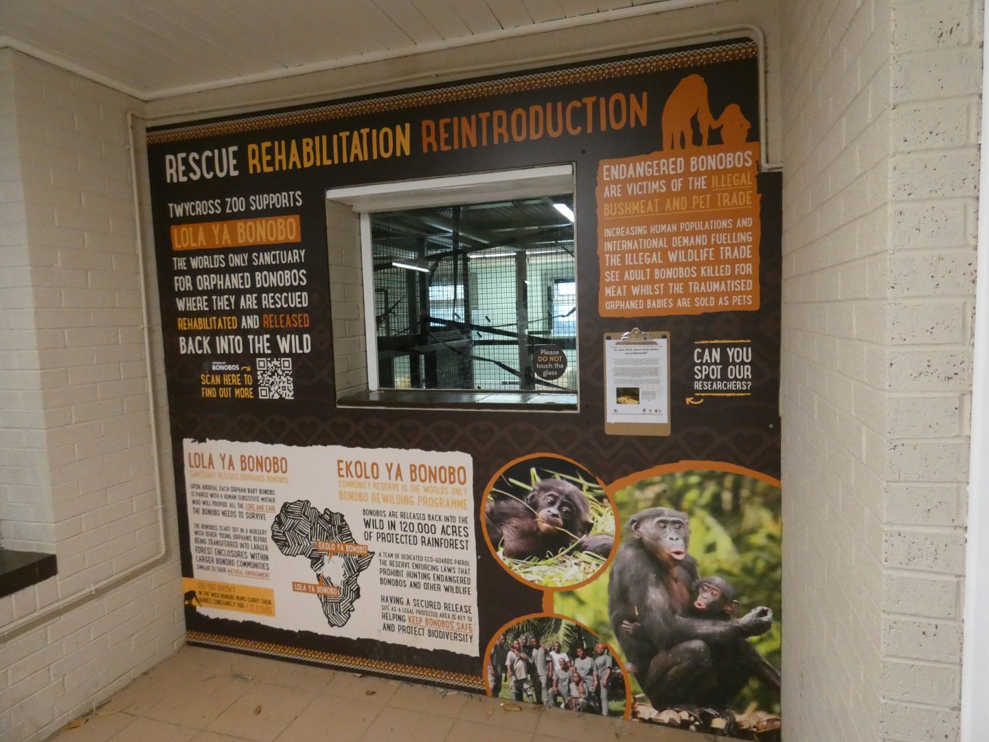 Viewing area into Bonobo bedroom