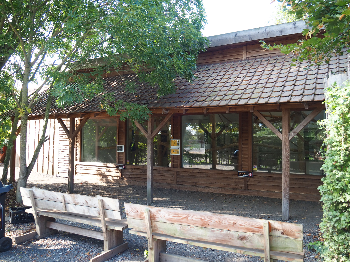Viewing area Lar gibbon indoor housing, 2020-09-12
