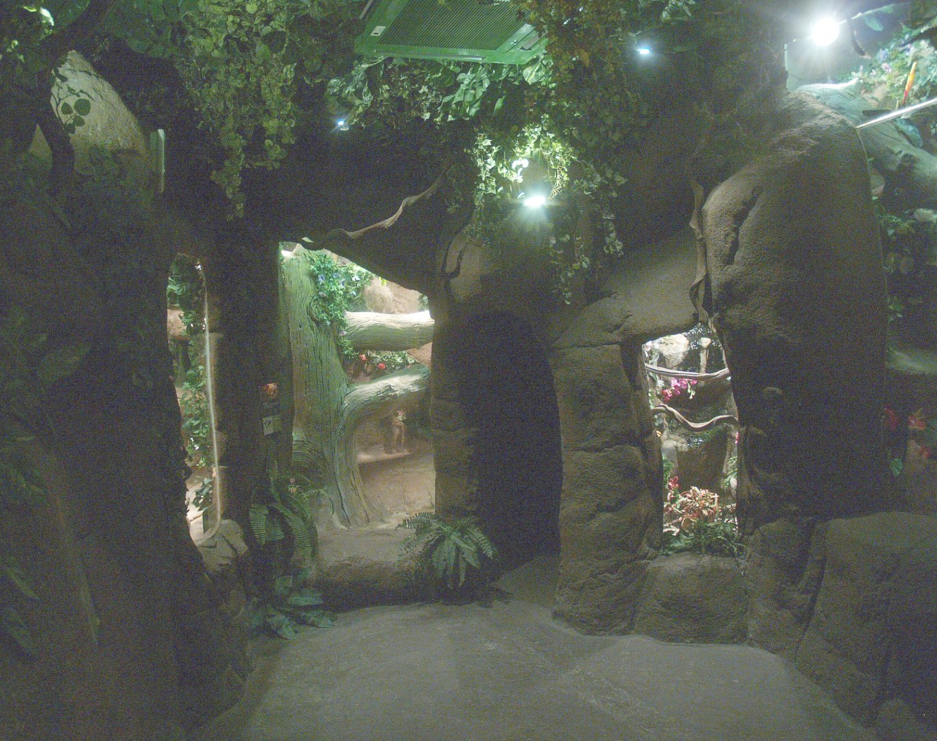 Viewing area large terrariums, 2014-02-16