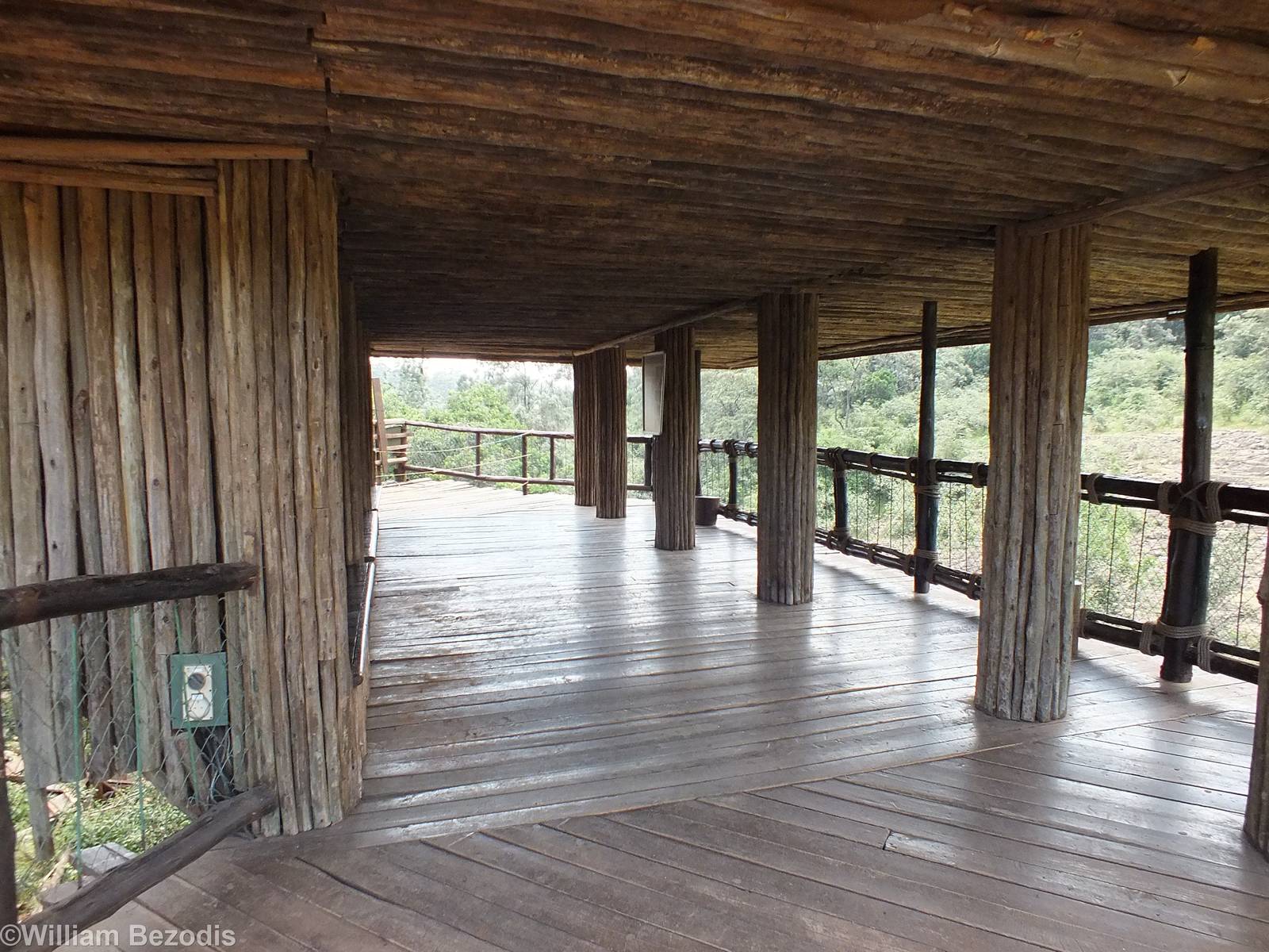 Viewing Area- Nairobi Safari Walk