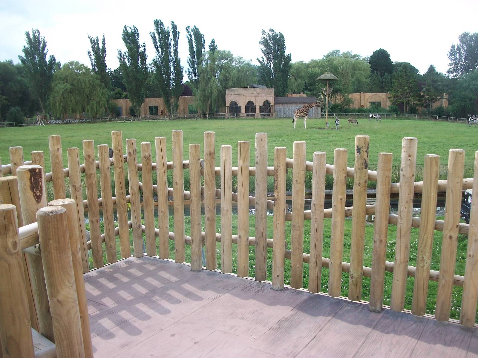 Viewing area near Lions, 7th July 2014