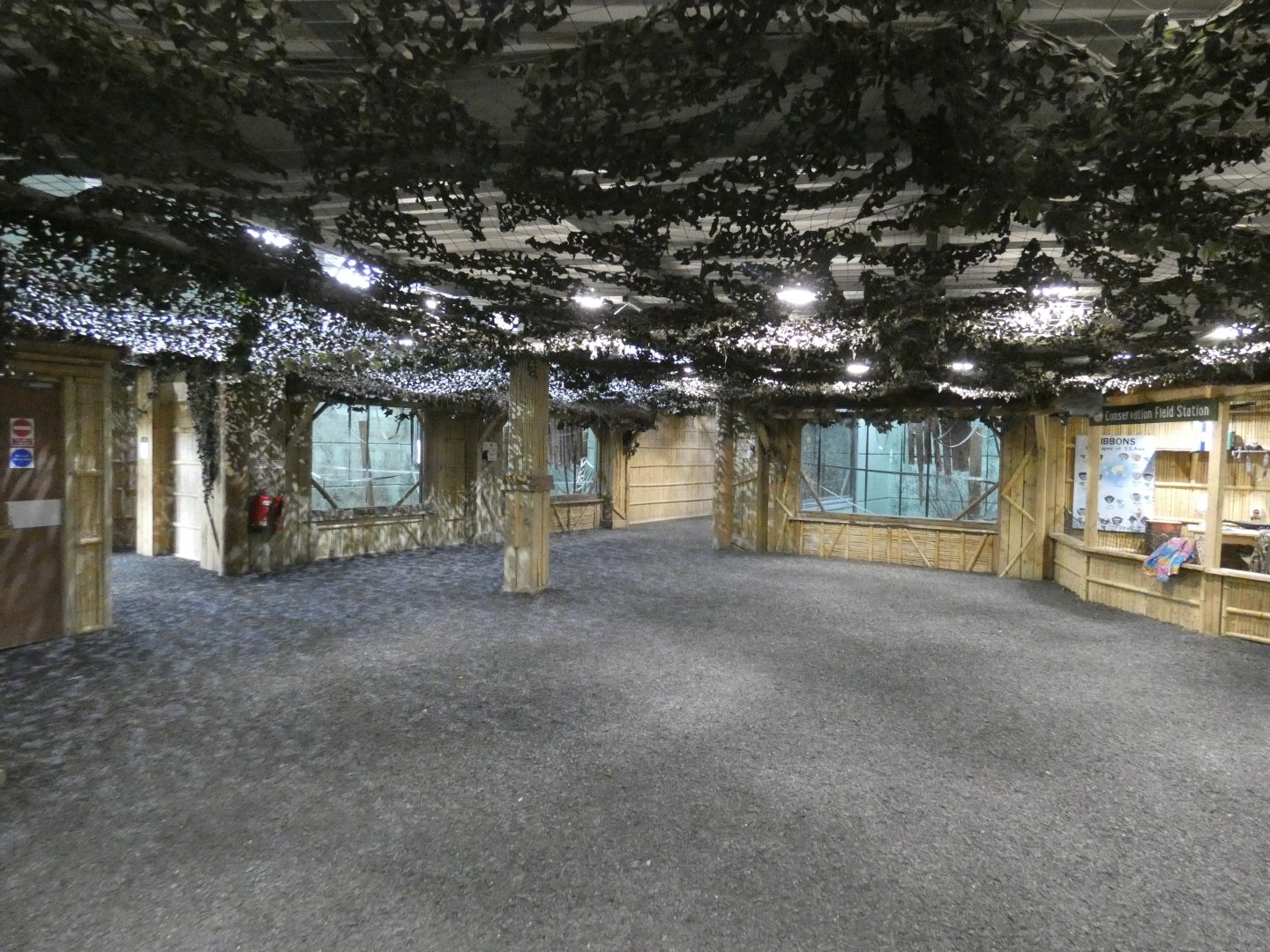 Viewing area of Gibbon Forest