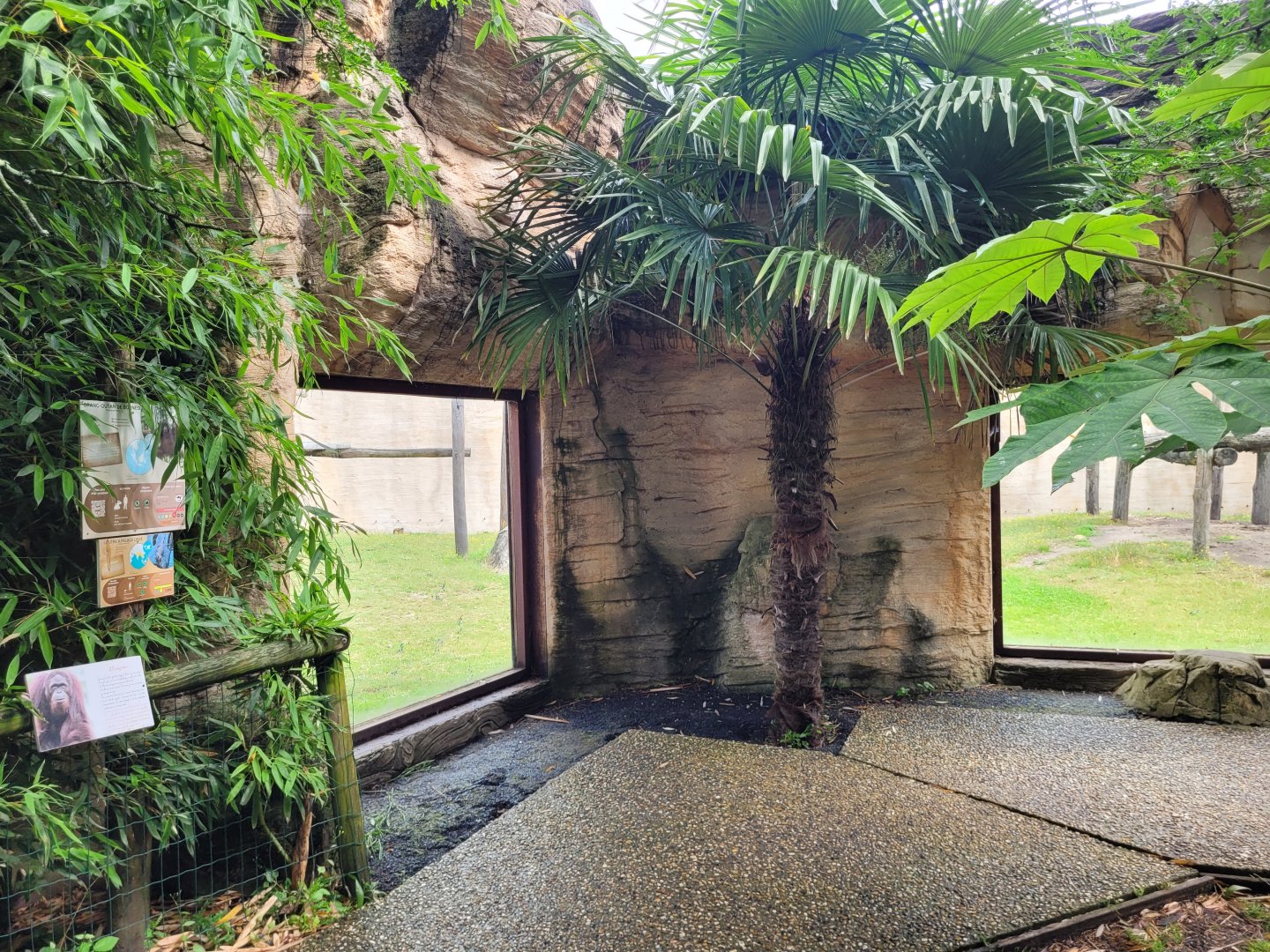 Viewing area of the first orangutan exhibit -Zoo du bassin d'Arcachon (2024)