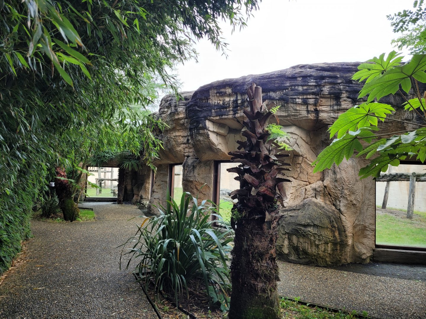 Viewing area of the first orangutan exhibit -Zoo du bassin d'Arcachon (2024)