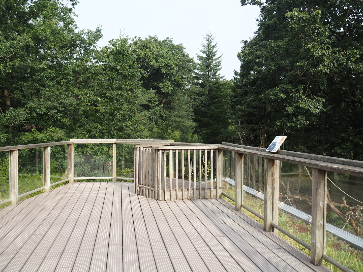 Viewing area on top of the bonobo building, 2024-08-18
