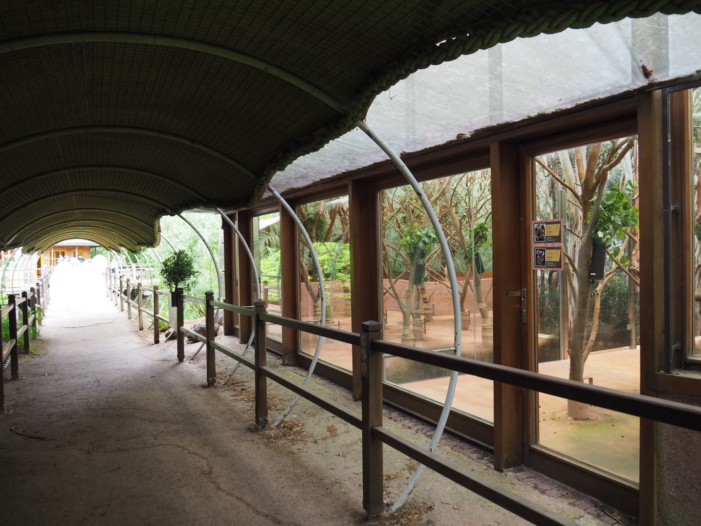 Viewing area Queensland koala house, 2020-05-23