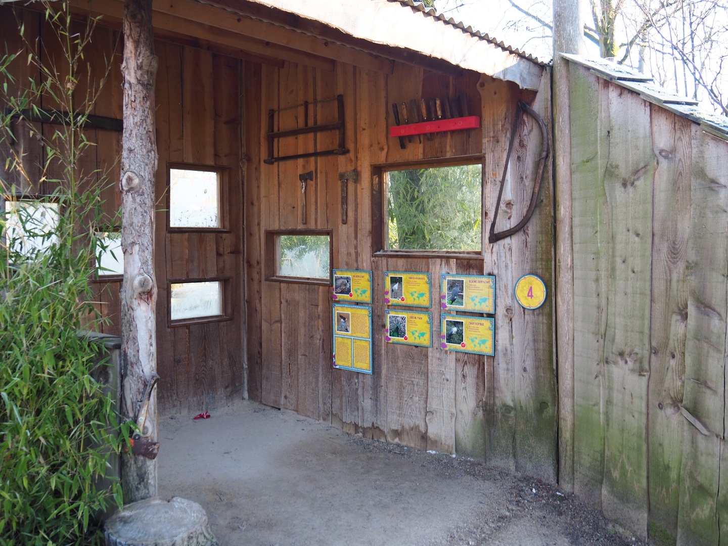 Viewing area Red-crowned crane - Blue eared pheasant - Green peafowl - Black-headed ibis - Cheer pheasant aviary (Jan 20th, 2019)