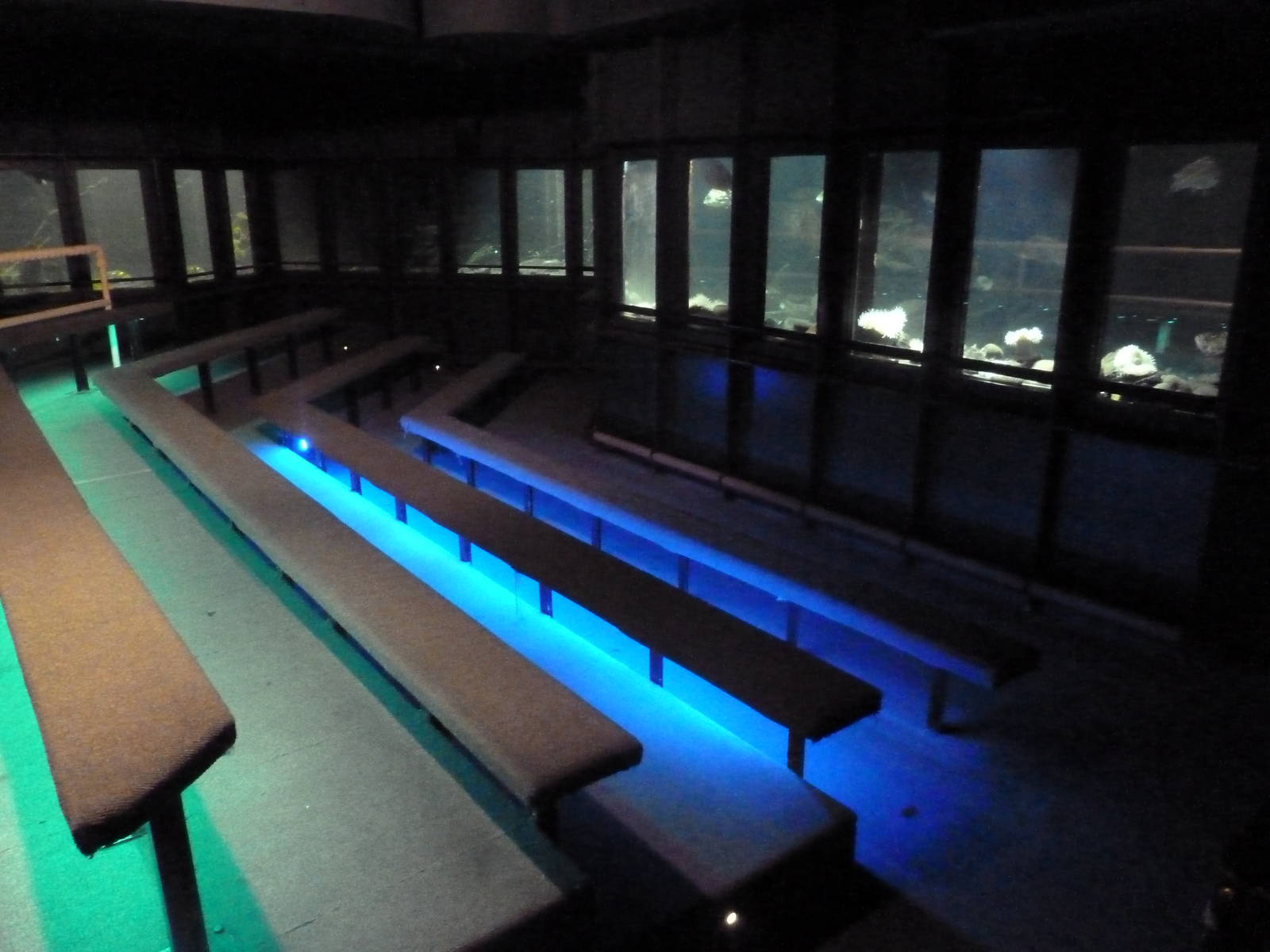 Viewing Area - Theater