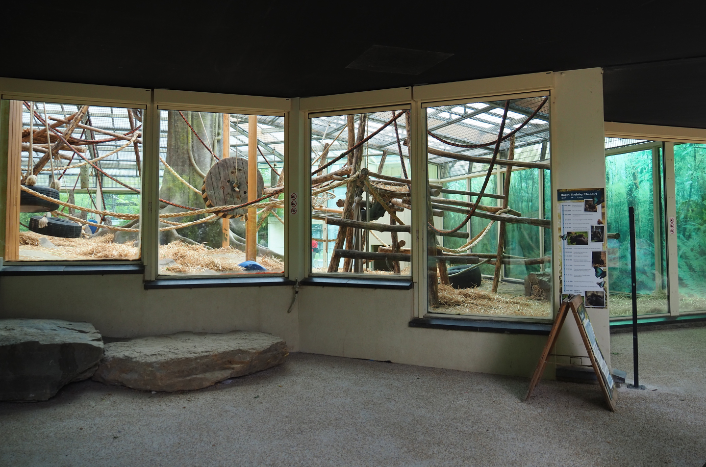 Viewing area Western lowland gorilla and Eastern gorilla indoor exhibit, 2020-05-24