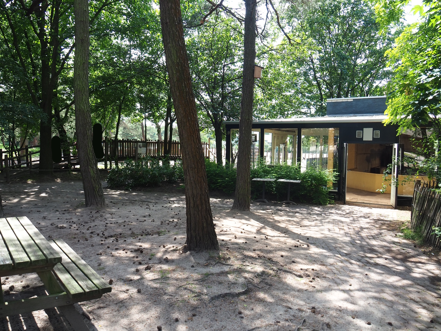 Viewing areas for Southern white rhinoceros indoor housing and separation paddock, 2022-06-12