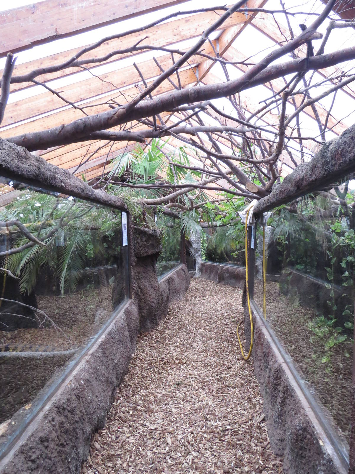 Viewing areas, June 2015.