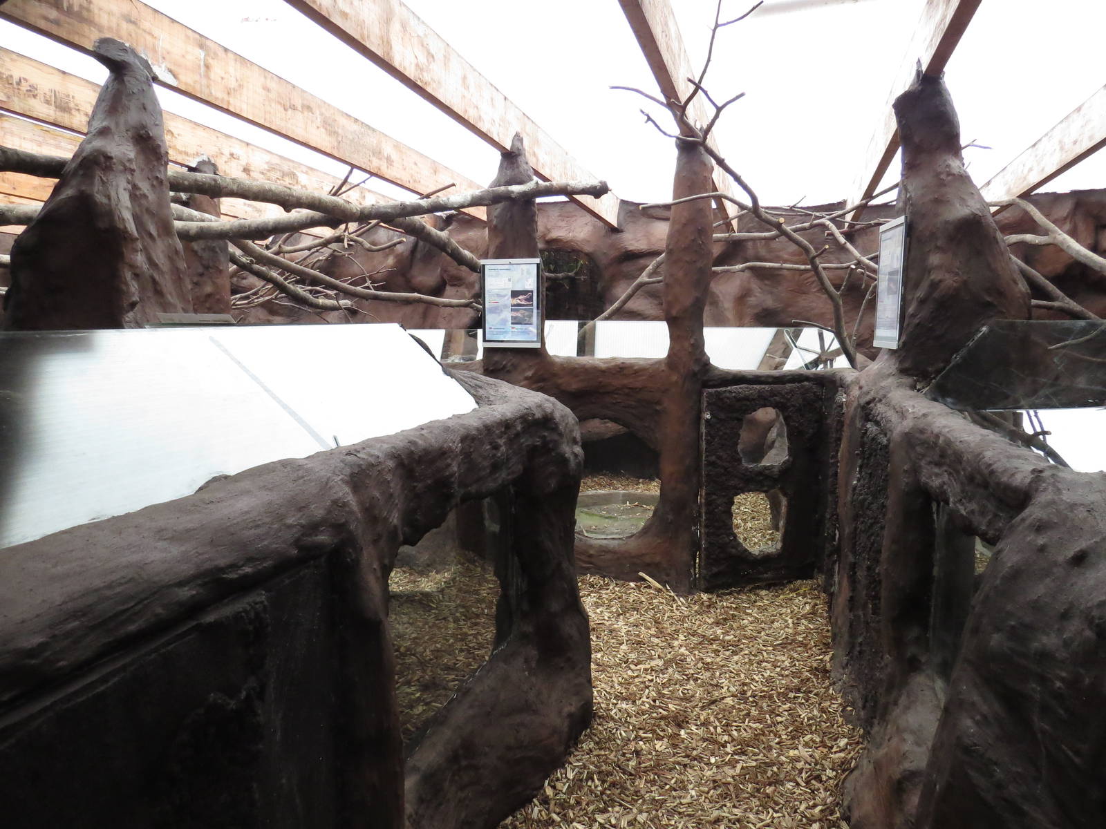 Viewing areas, June 2015.