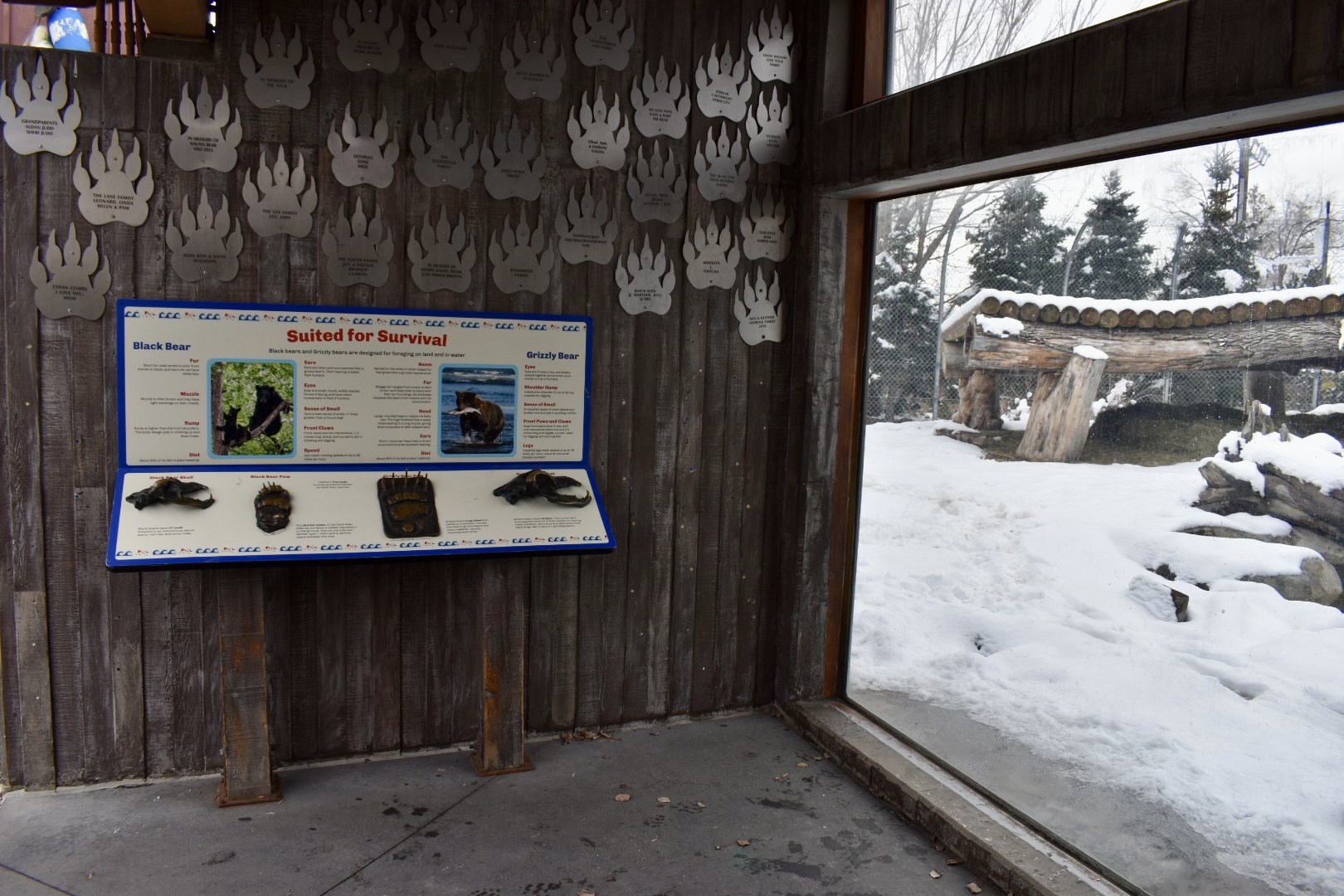 Viewing - Bear Meadow - Rocky Shores