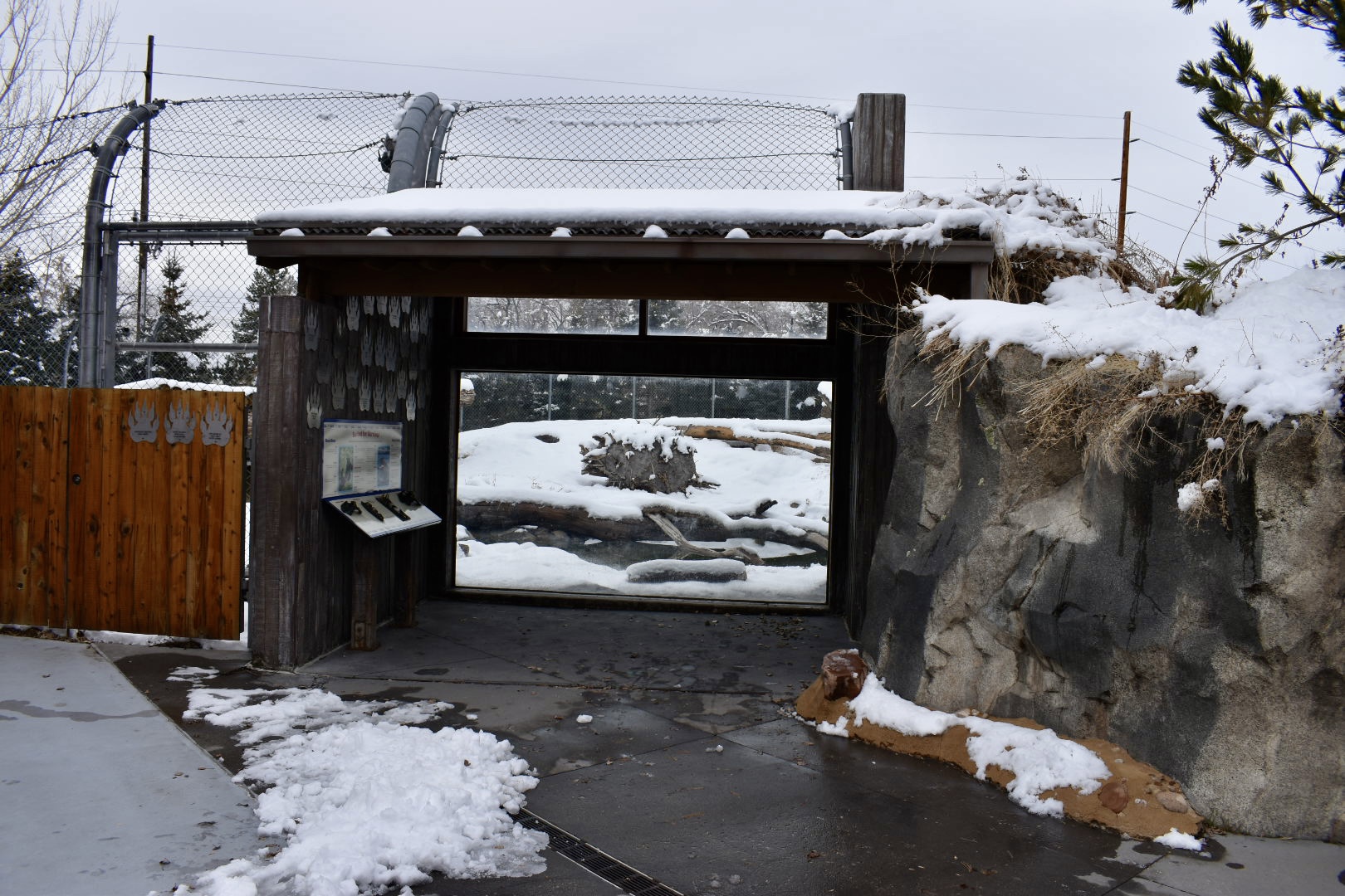 Viewing - Bear Meadow - Rocky Shores