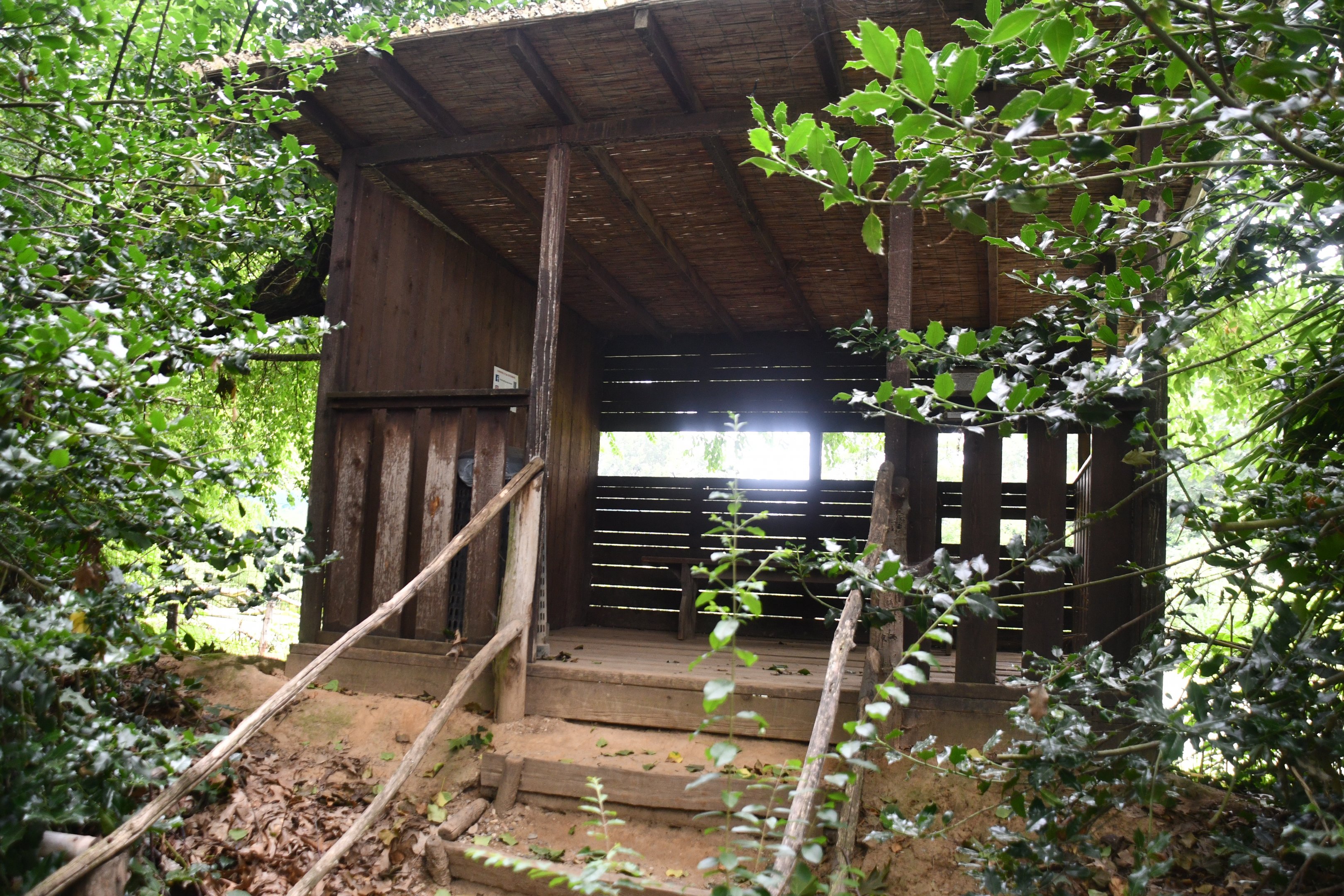 viewing blind on one side of the Lake