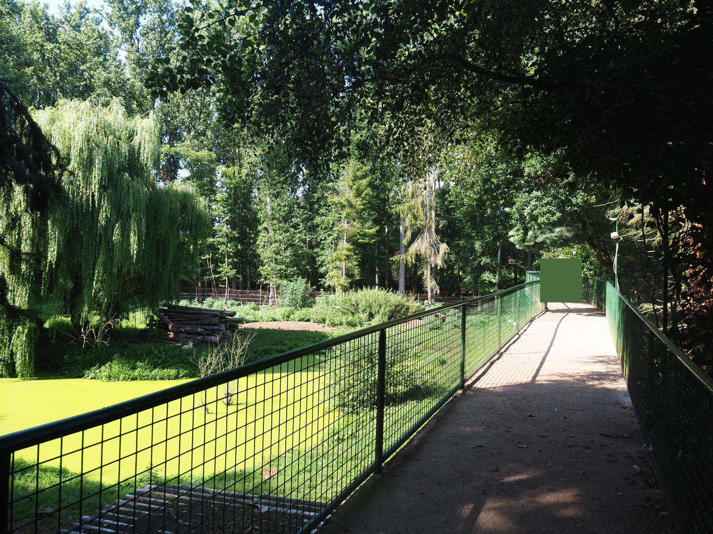 Viewing bridge overseeing the Hudson Bay wolf exhibit, 2019-08-04